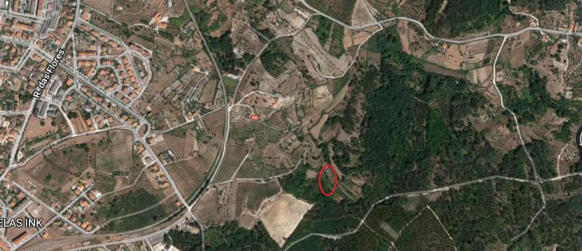 Quinhão Hereditário · Nelas - Viseu — image 40