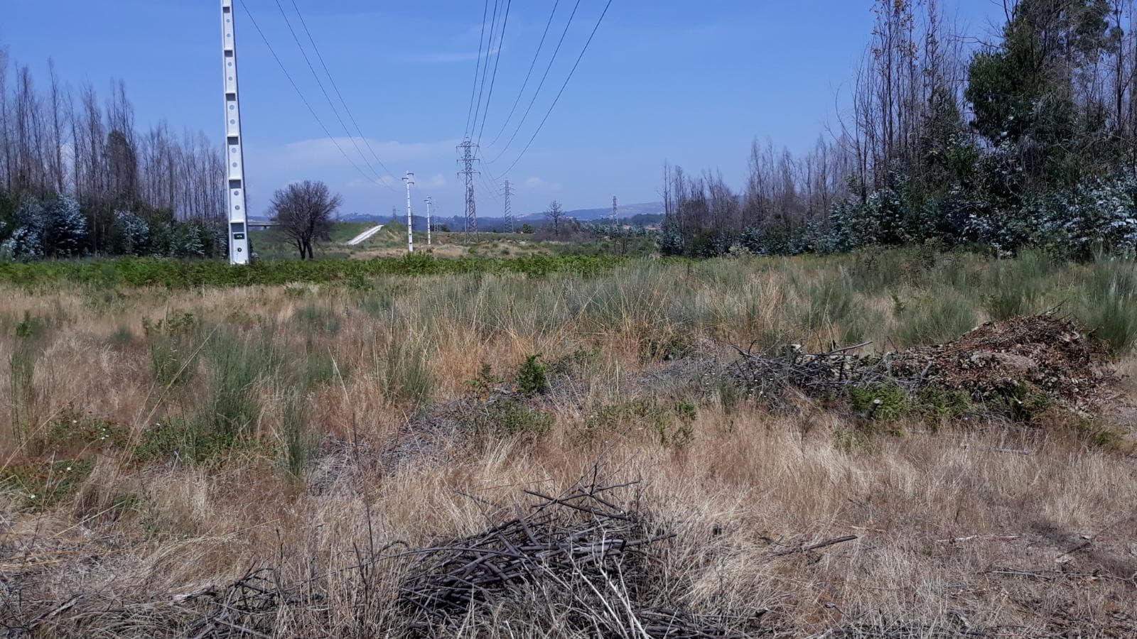 Quinhão Hereditário · Nelas - Viseu — image 17