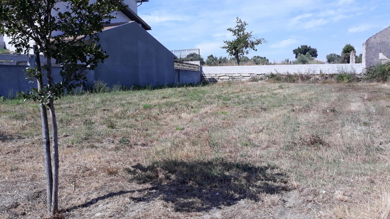 Quinhão Hereditário · Nelas - Viseu — image 22