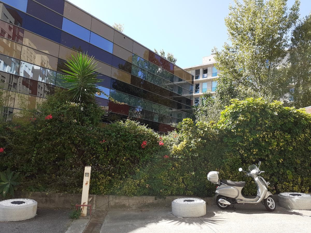 Escritório + Garagem · Porto — imagem 6