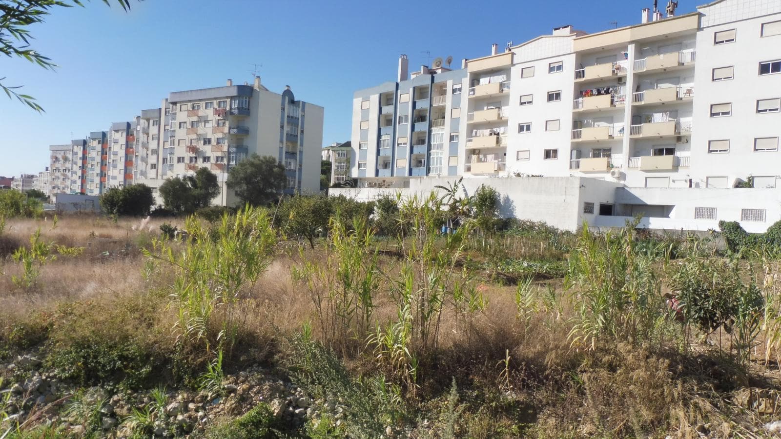 Lote para Construção · Sintra — imagen 1