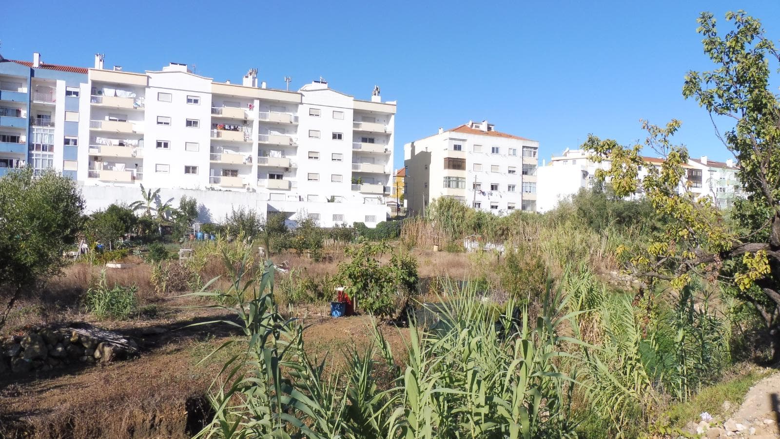 Lote para Construção · Sintra — imagen 3