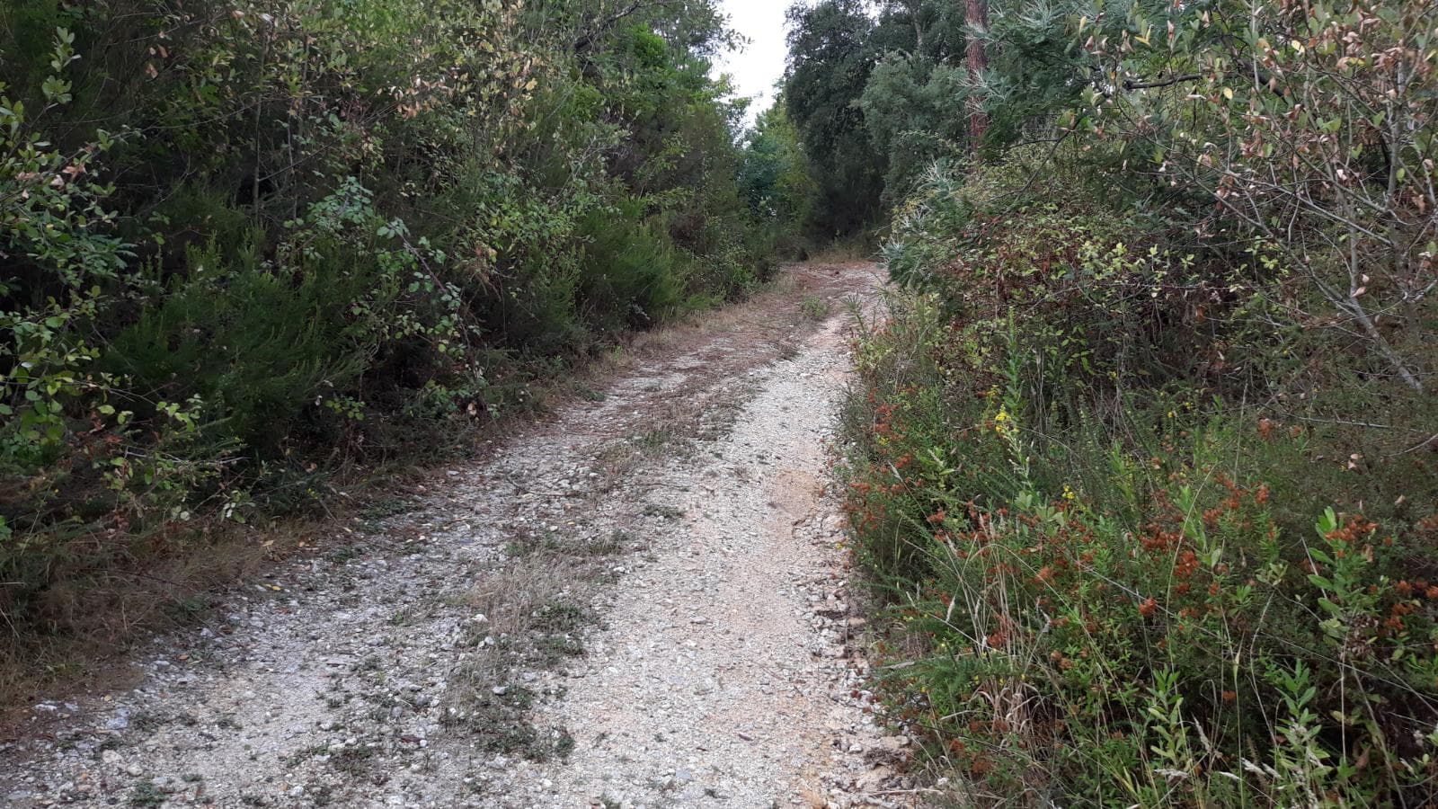 Terreno · Arganil — imagen 2