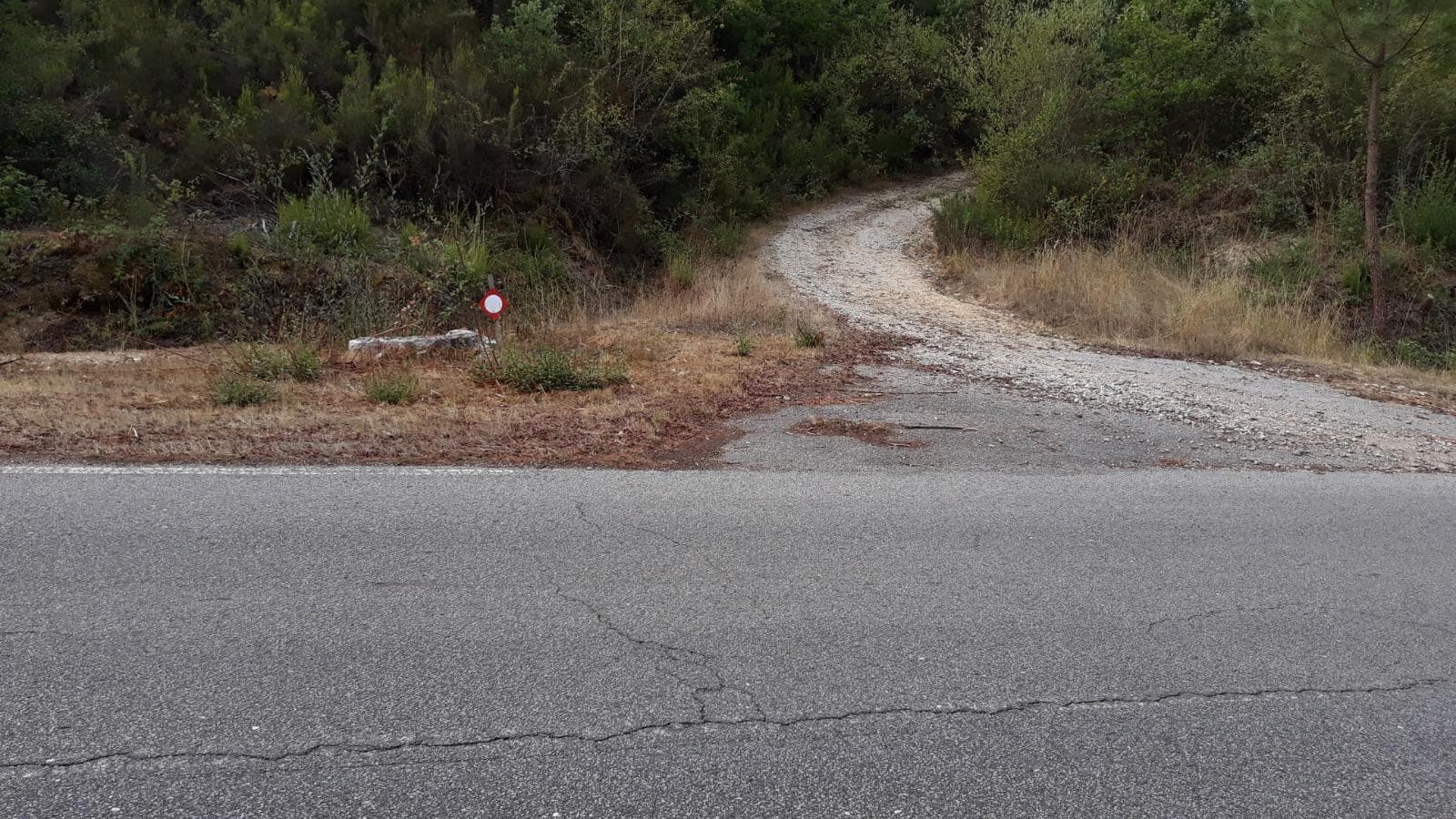 Terreno · Arganil — imagen 7