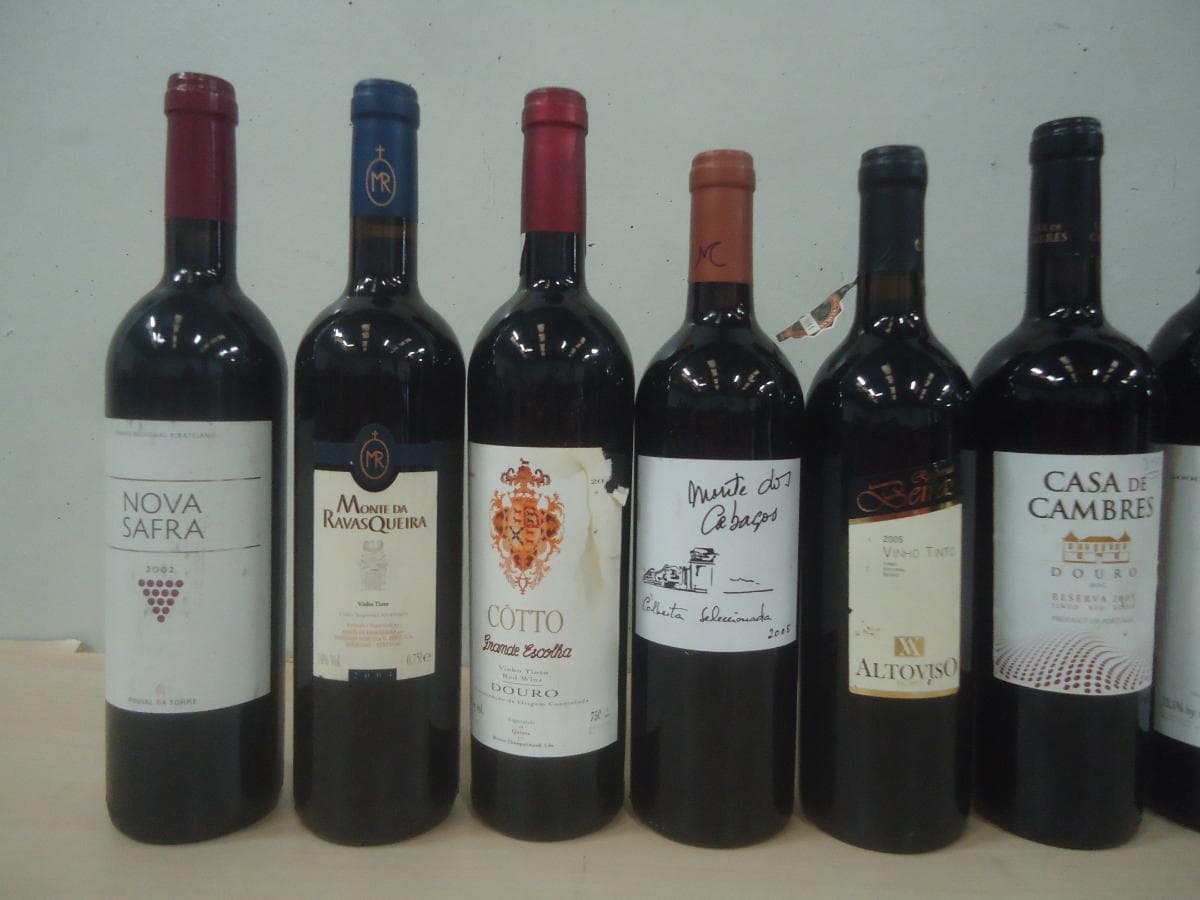 Refrigerador + Lote de Vinhos — image 11
