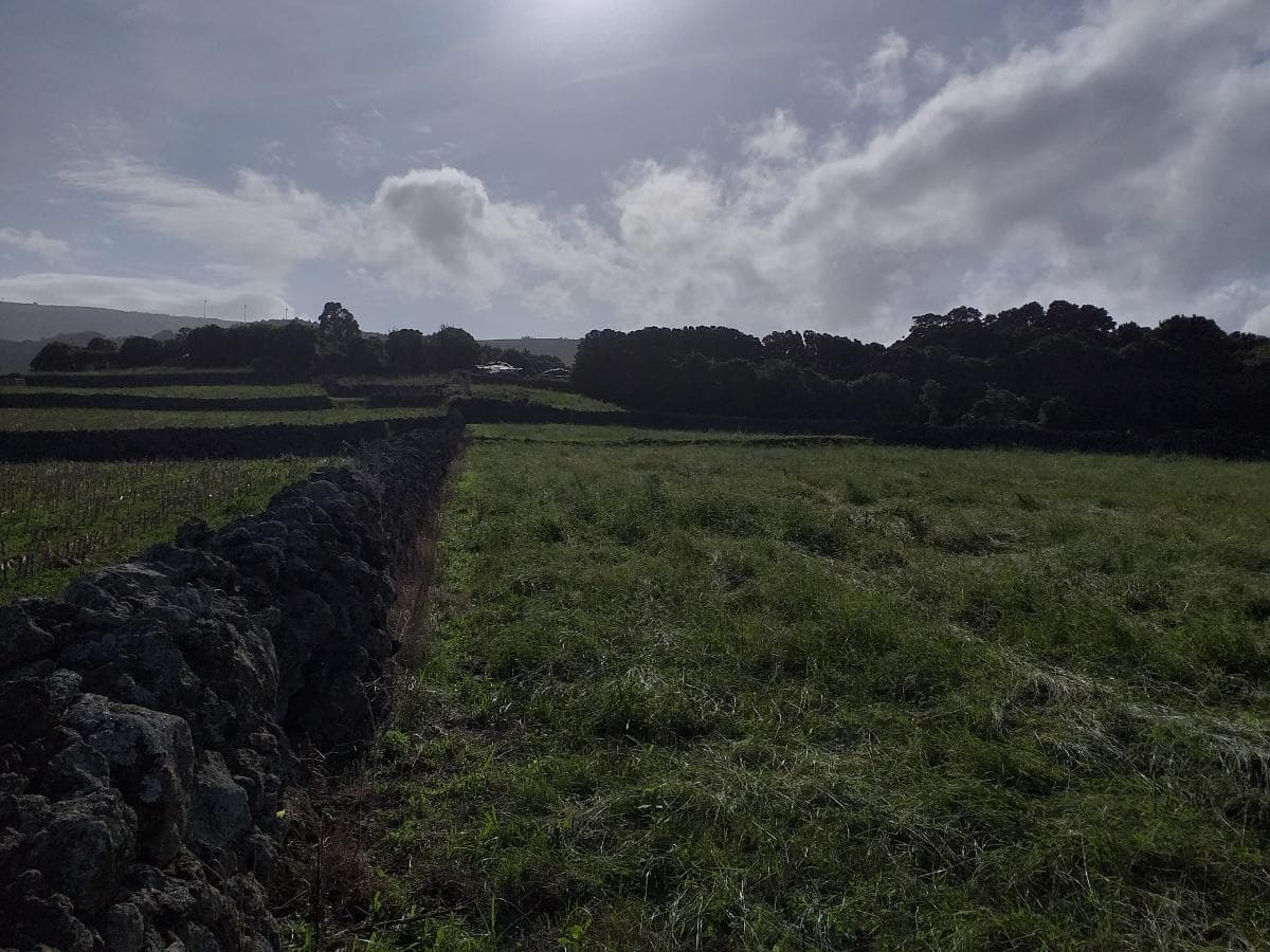 Quinhão Hereditário · Praia da Vitória, Açores — image 12