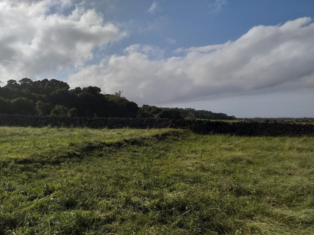 Quinhão Hereditário · Praia da Vitória, Açores — image 18