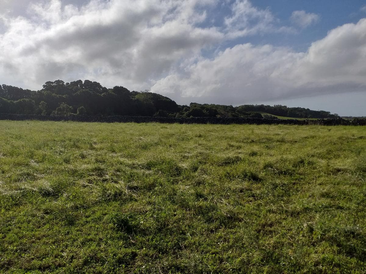 Quinhão Hereditário · Praia da Vitória, Açores — image 6