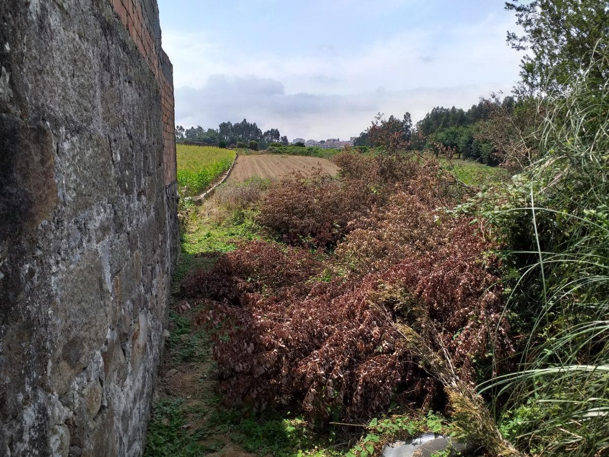 Lote para Construção · Gondomar — image 3