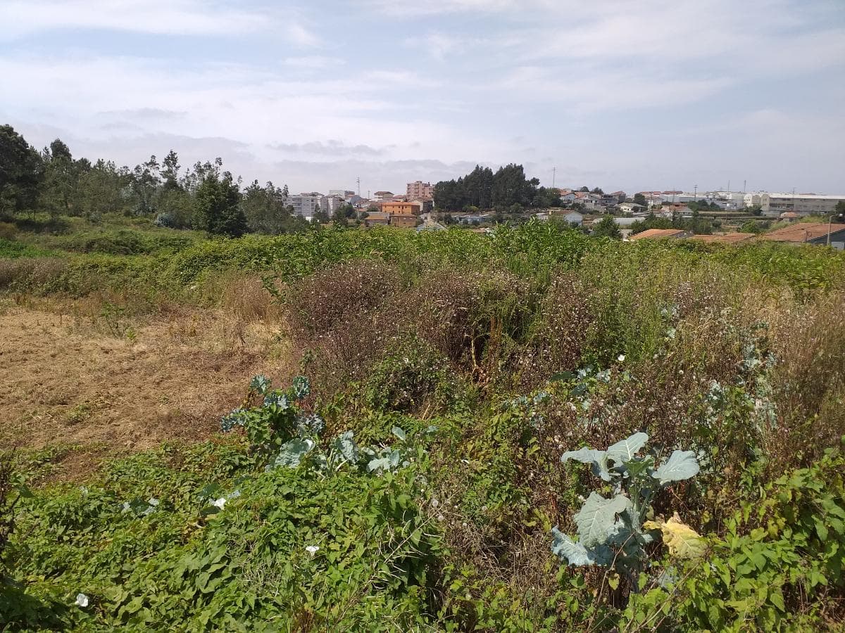 Lote para Construção · Gondomar — image 2