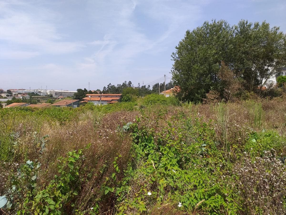 Lote para Construção · Gondomar — image 4