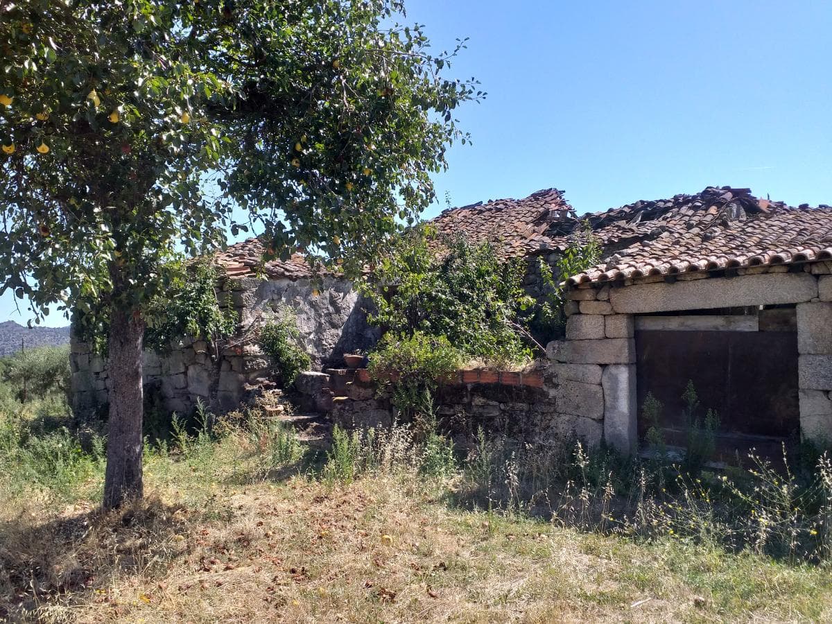 Proporção de Terrenos e Arrecadação · Carrazeda de Ansiães — imagem 31
