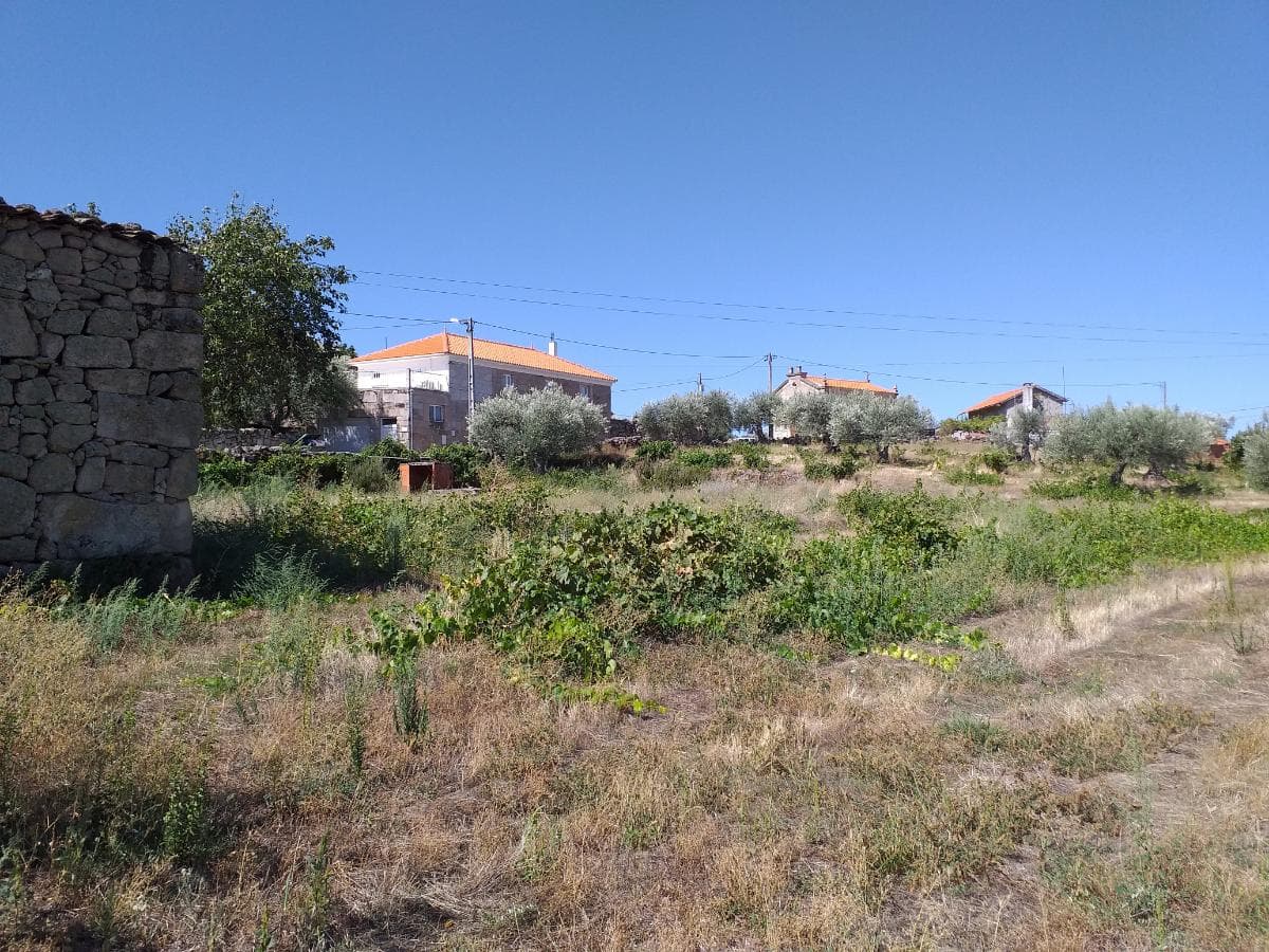 Proporção de Terrenos e Arrecadação · Carrazeda de Ansiães — imagem 18