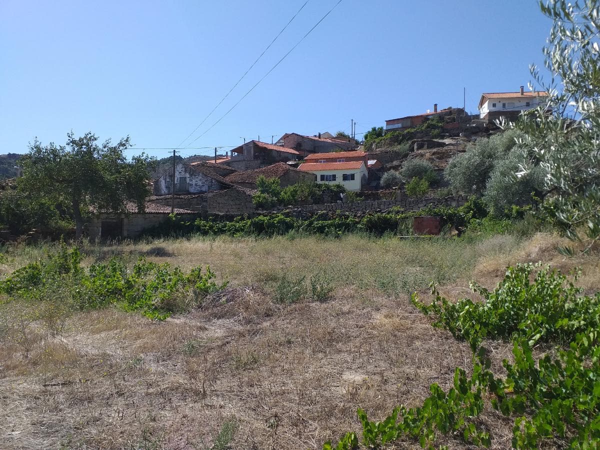 Proporção de Terrenos e Arrecadação · Carrazeda de Ansiães — imagem 22