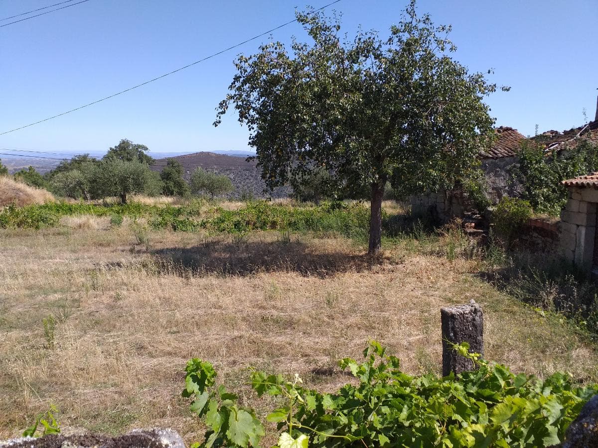 Proporção de Terrenos e Arrecadação · Carrazeda de Ansiães — imagem 24