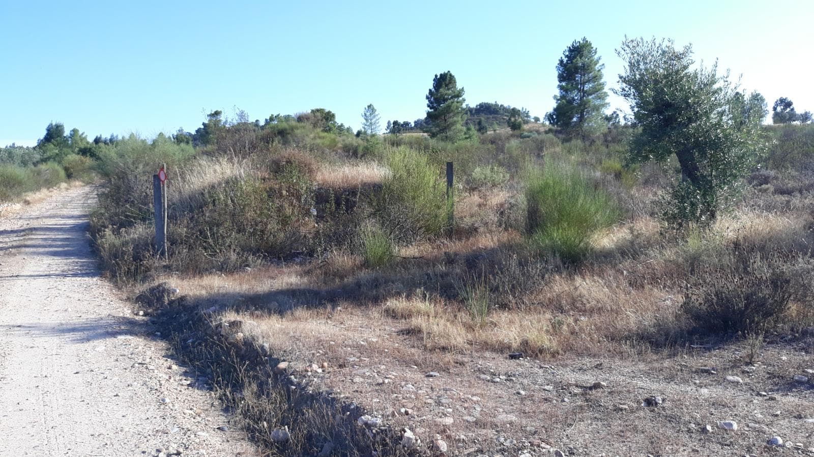 Terreno · Castelo Branco — imagem 2