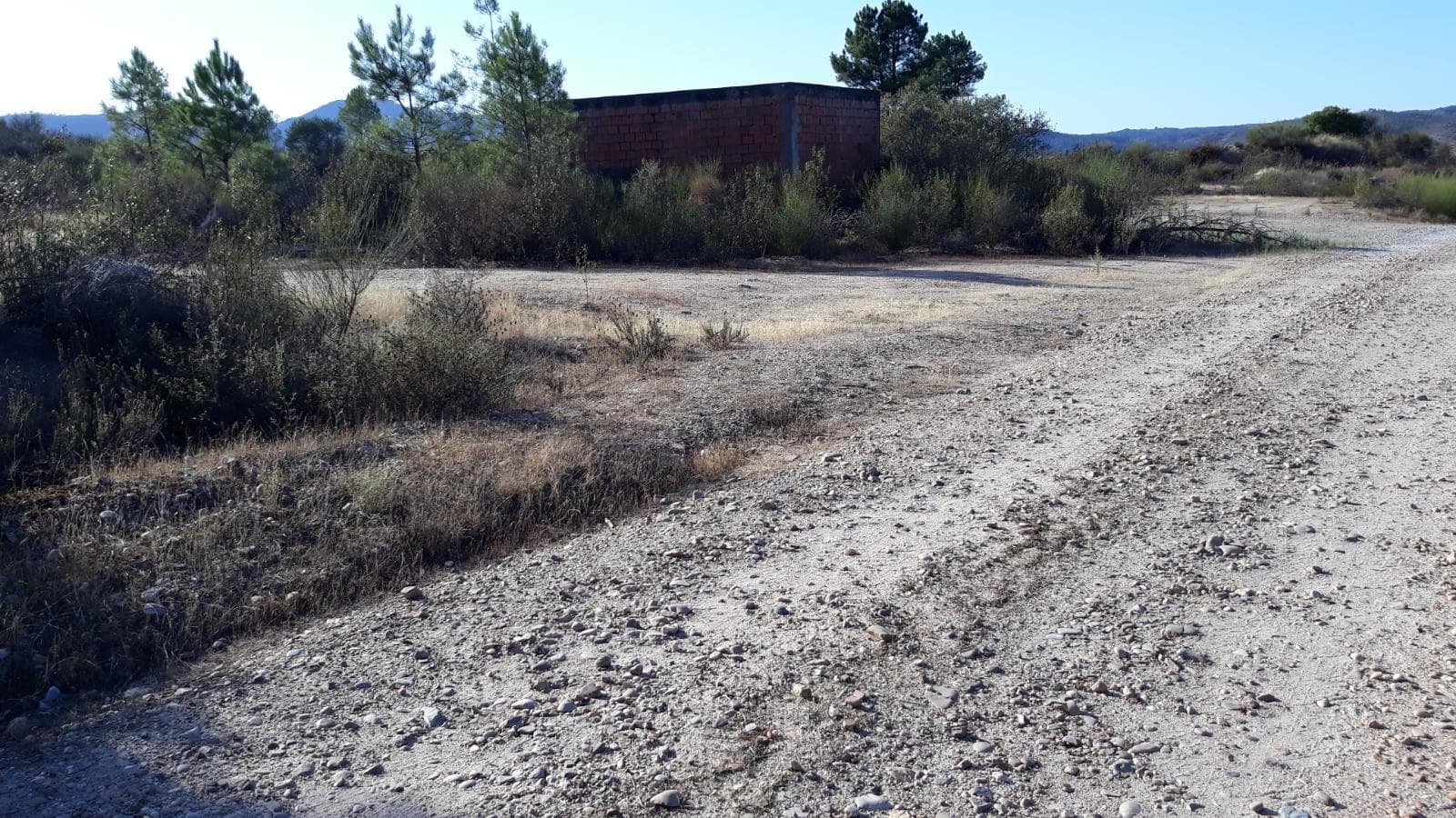 Terreno · Castelo Branco — imagem 5