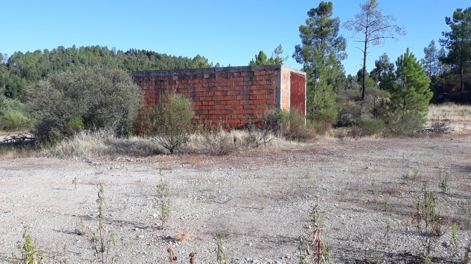 Terreno · Castelo Branco — imagem 7