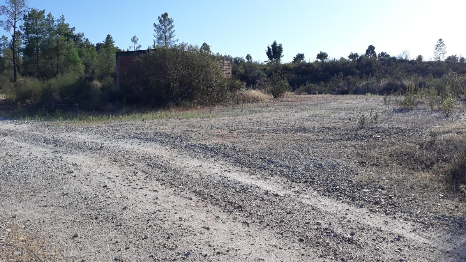 Terreno · Castelo Branco — imagem 4