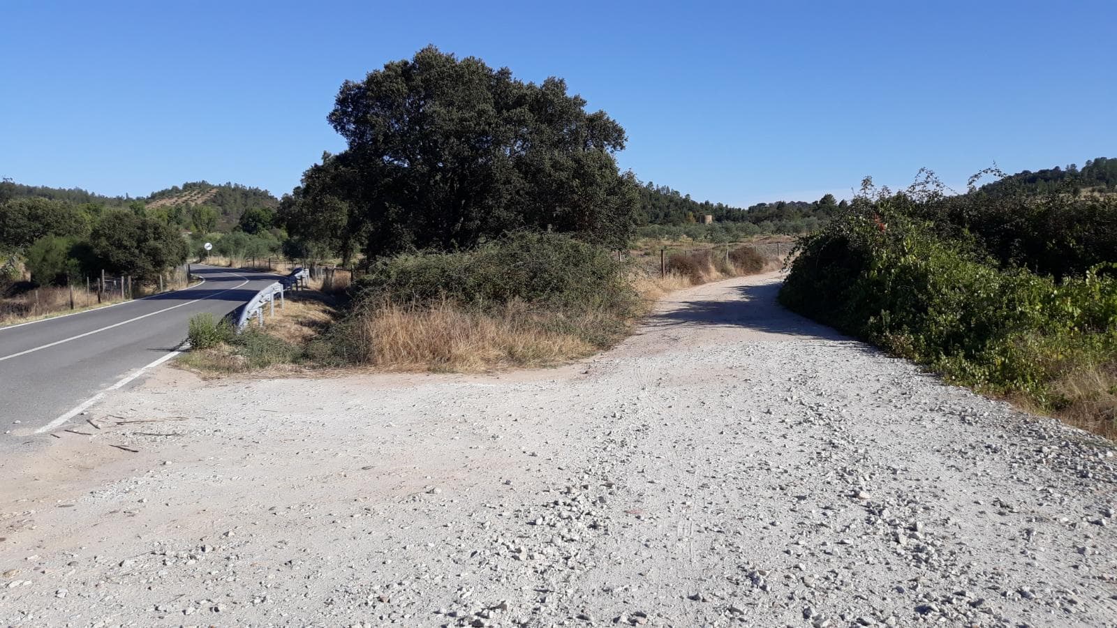 Terreno · Castelo Branco — imagem 5