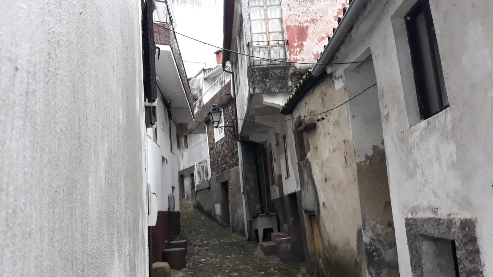 Moradia + Terrenos · Arganil — imagen 7