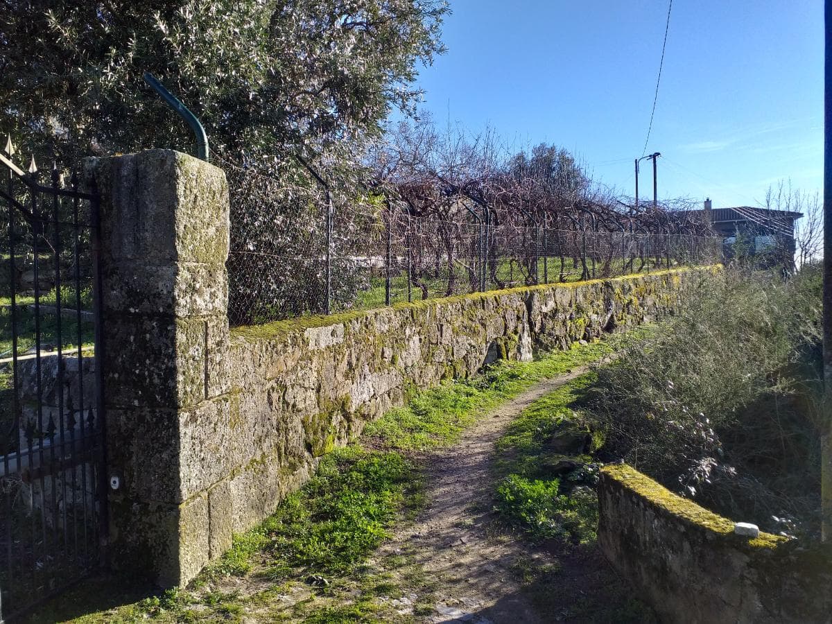 Moradia V5 c/ Terreno · Vila Real — imagem 11
