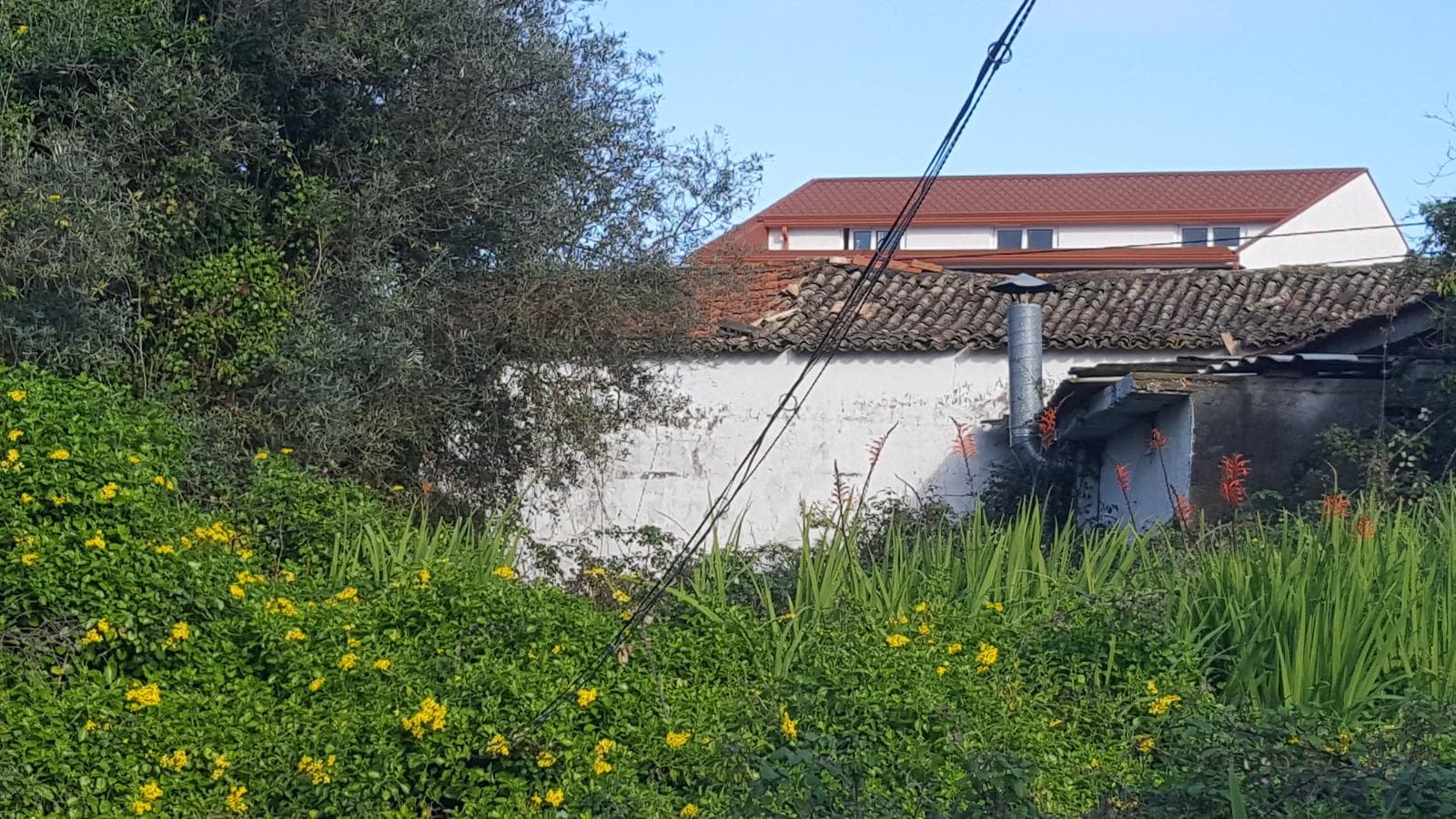 Moradias · Terreno · Coimbra — image 11