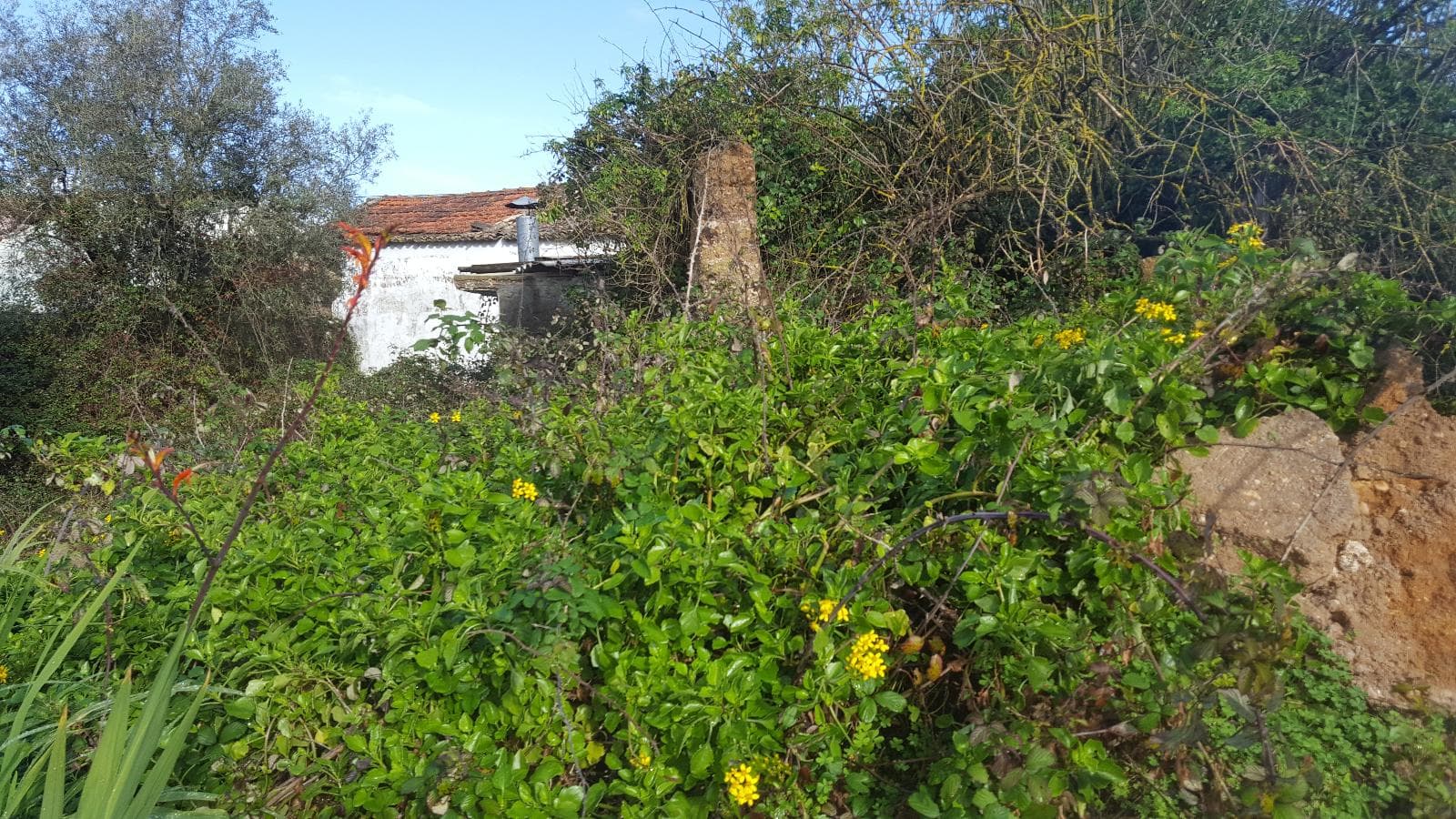 Moradias · Terreno · Coimbra — image 9