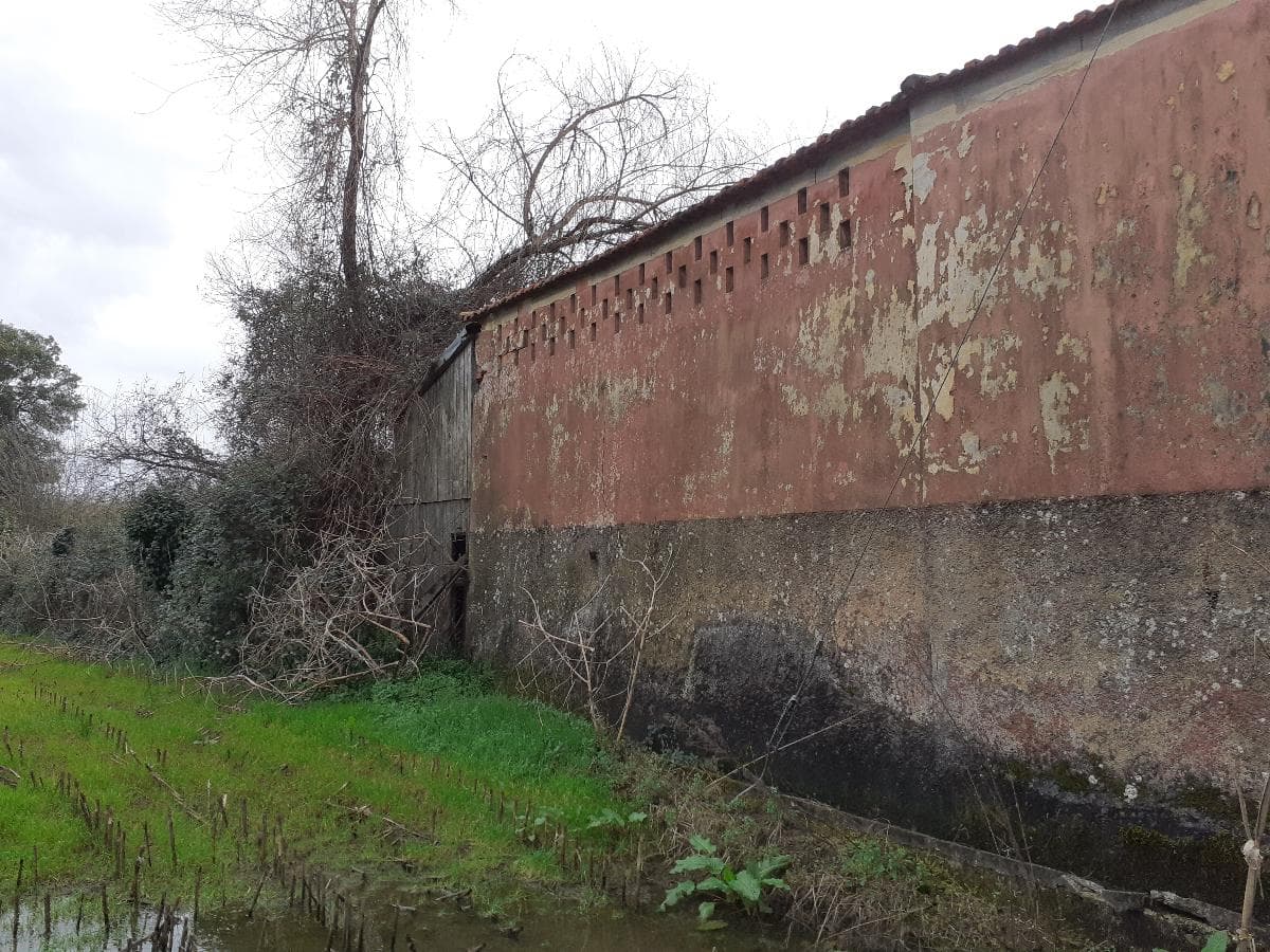 Moradia + Armazém + Terreno · Santa Maria da Feira — imagem 4