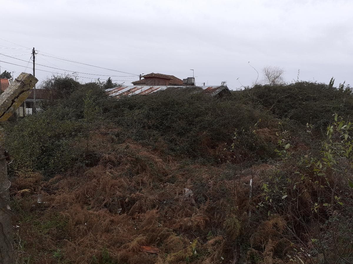 Moradia + Armazém + Terreno · Santa Maria da Feira — imagem 9