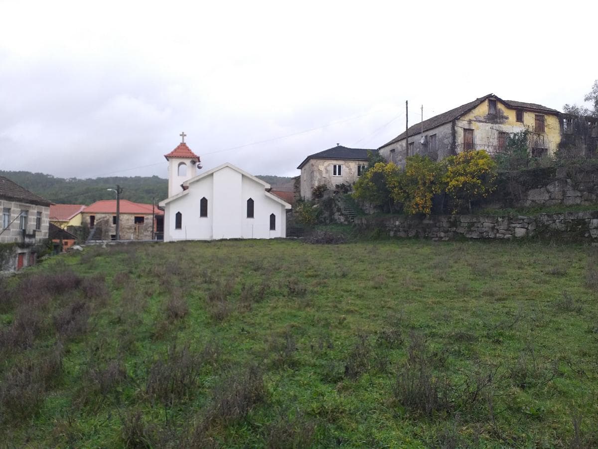 Terreno · Castro Daire — imagem 4