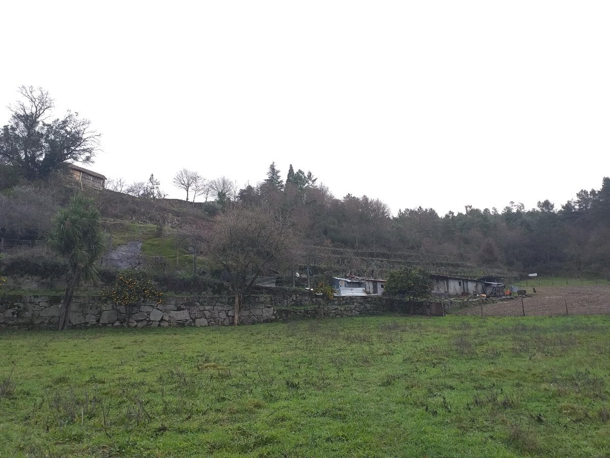 Terreno · Castro Daire — imagem 3