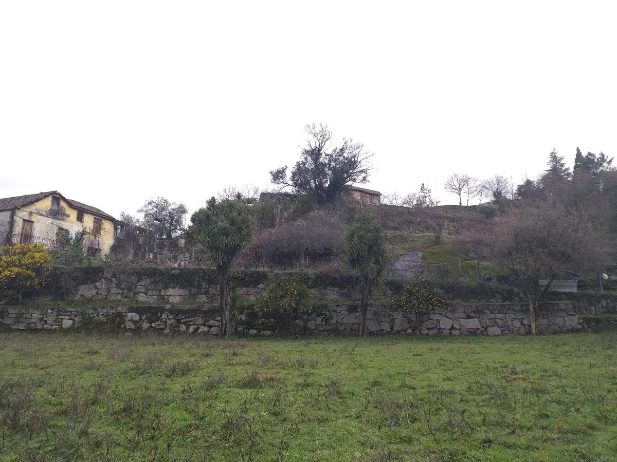 Terreno · Castro Daire — imagem 5