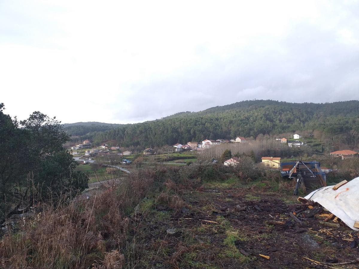 Terreno · Castro Daire — imagem 6