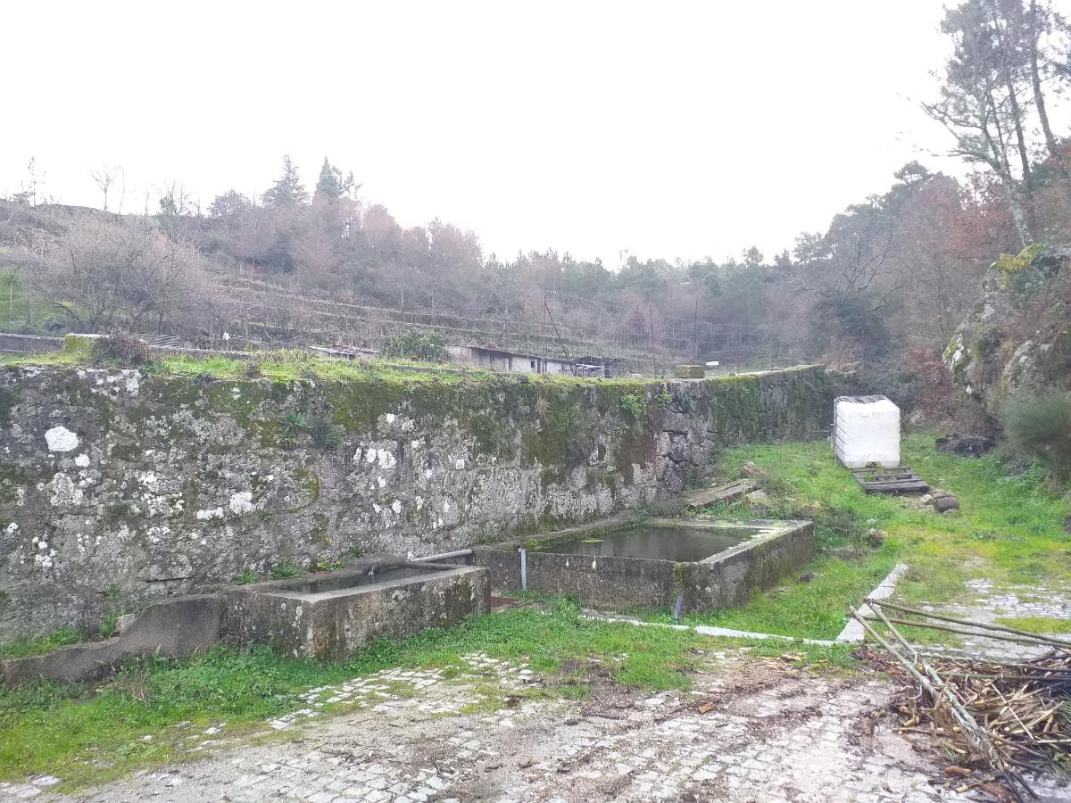 Terreno · Castro Daire — imagem 8