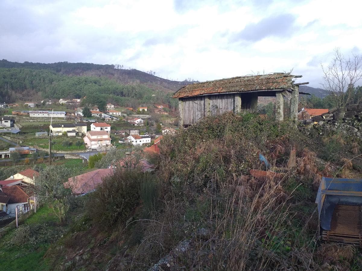 Terreno · Castro Daire — imagem 10