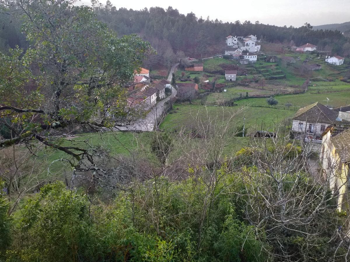 Terreno · Castro Daire — imagem 12