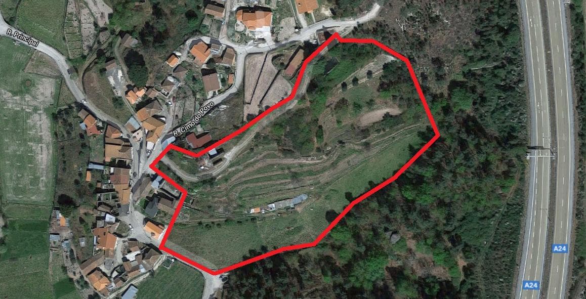 Terreno · Castro Daire — imagem 13