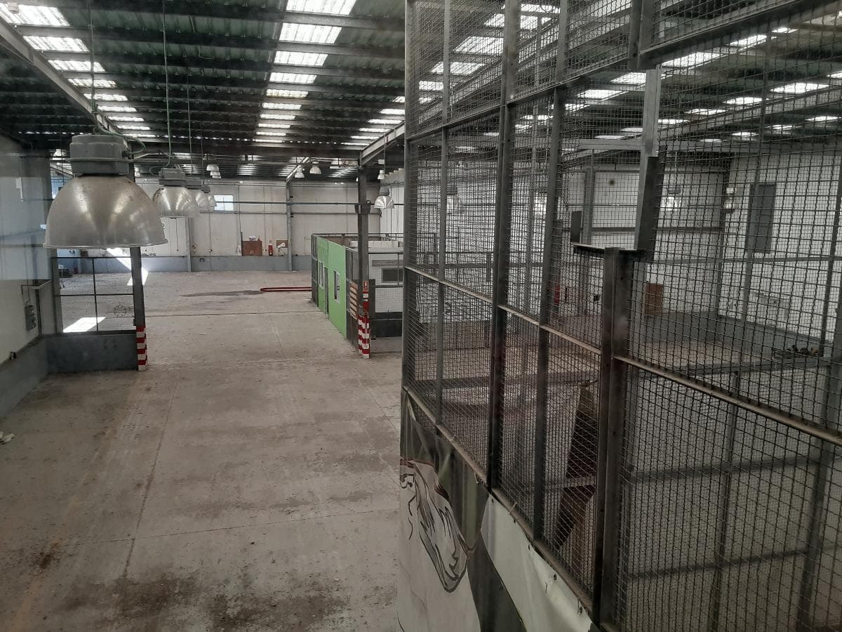 Complexo Industrial · Caparica — imagen 18