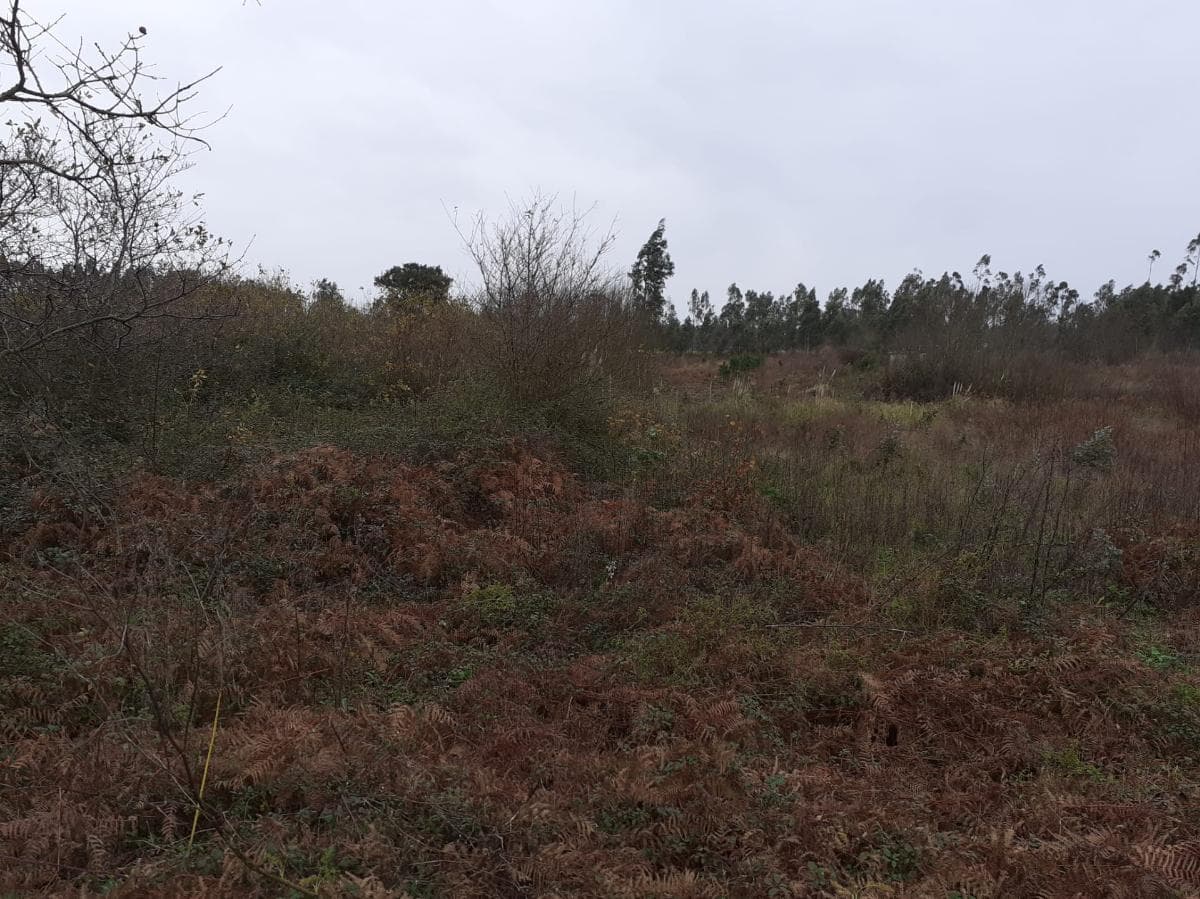 Terrain · Vila do Conde — image 2