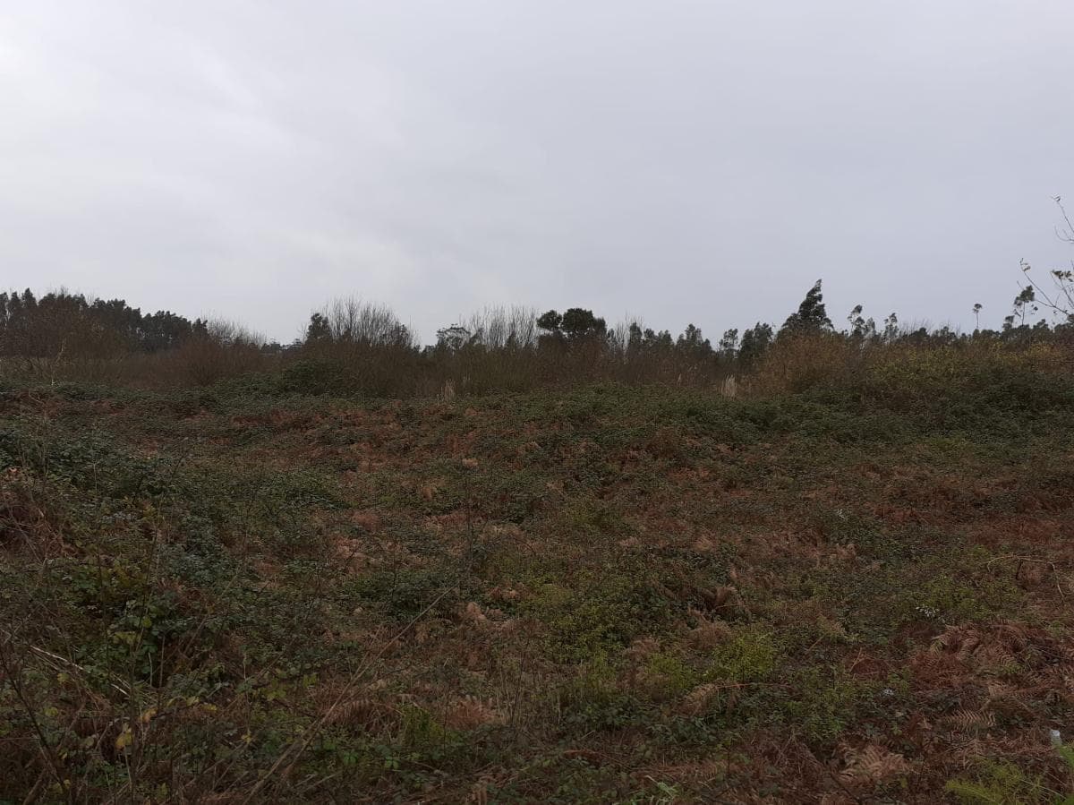 Terrain · Vila do Conde — image 6