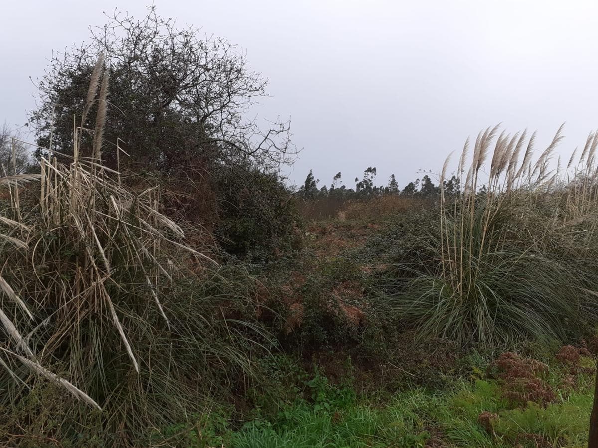 Terrain · Vila do Conde — image 5