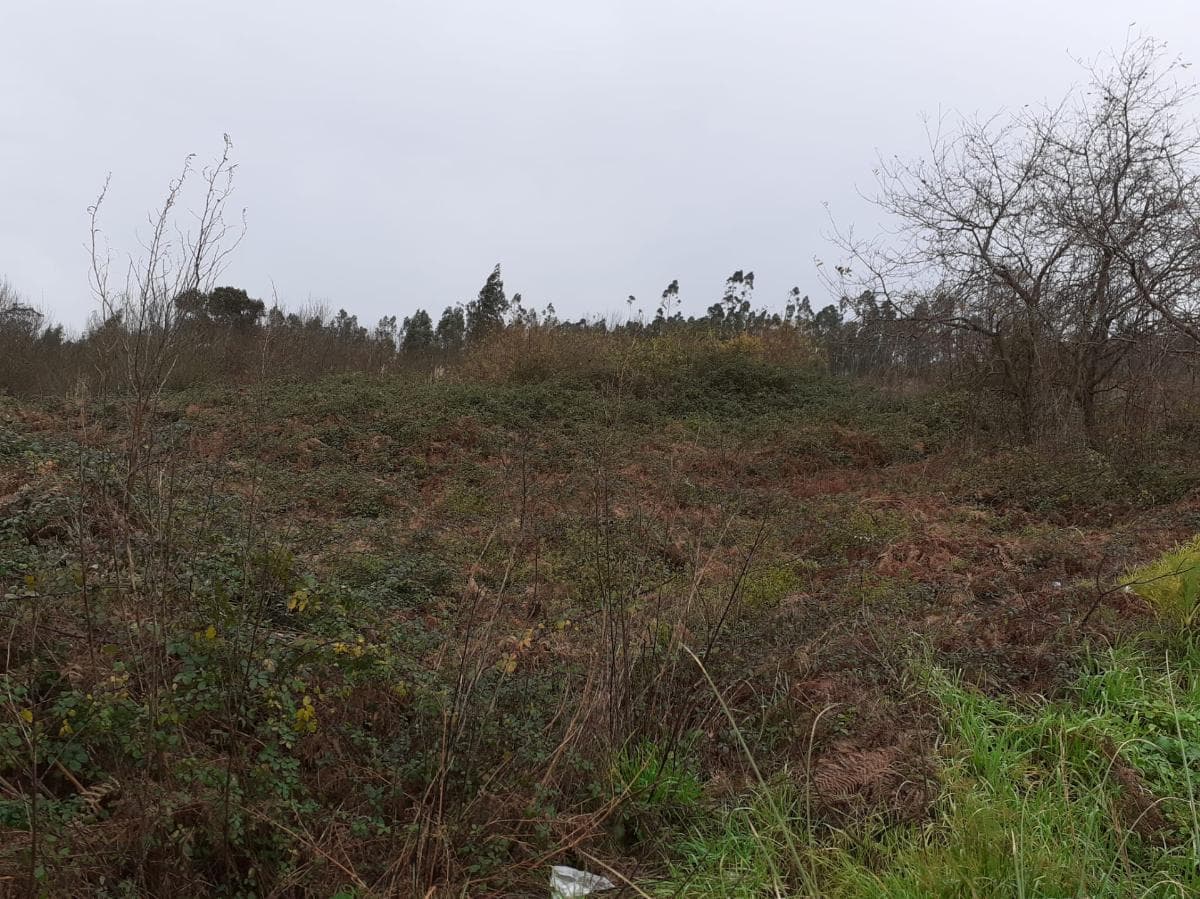 Terrain · Vila do Conde — image 7