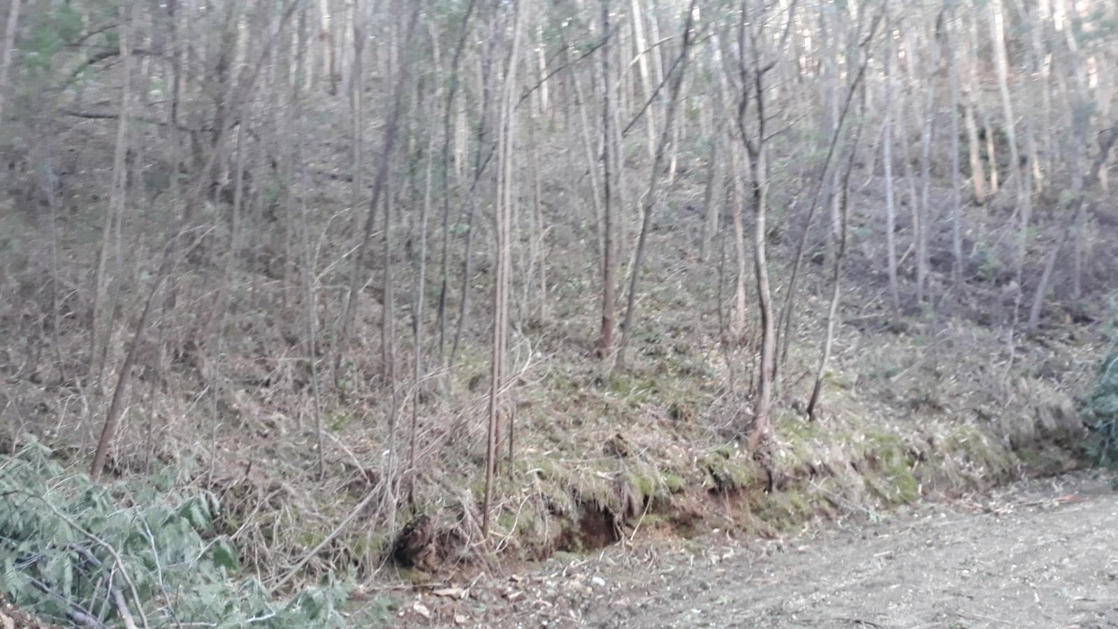 Terreno · Vila Nova de Poiares