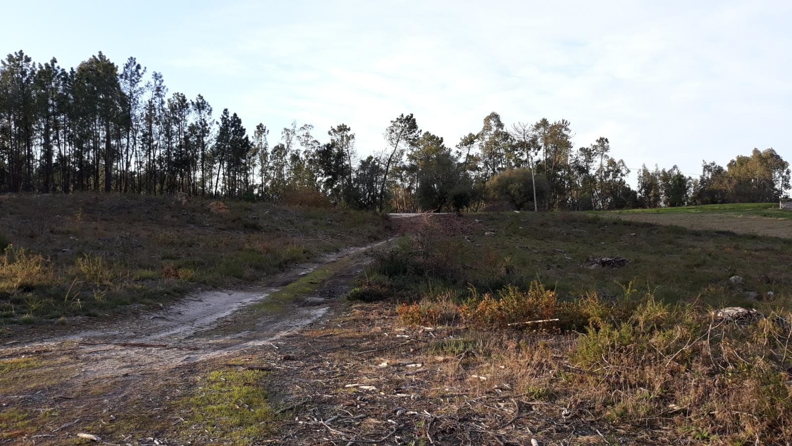 Meação Terreno · Pombal — imagem 3