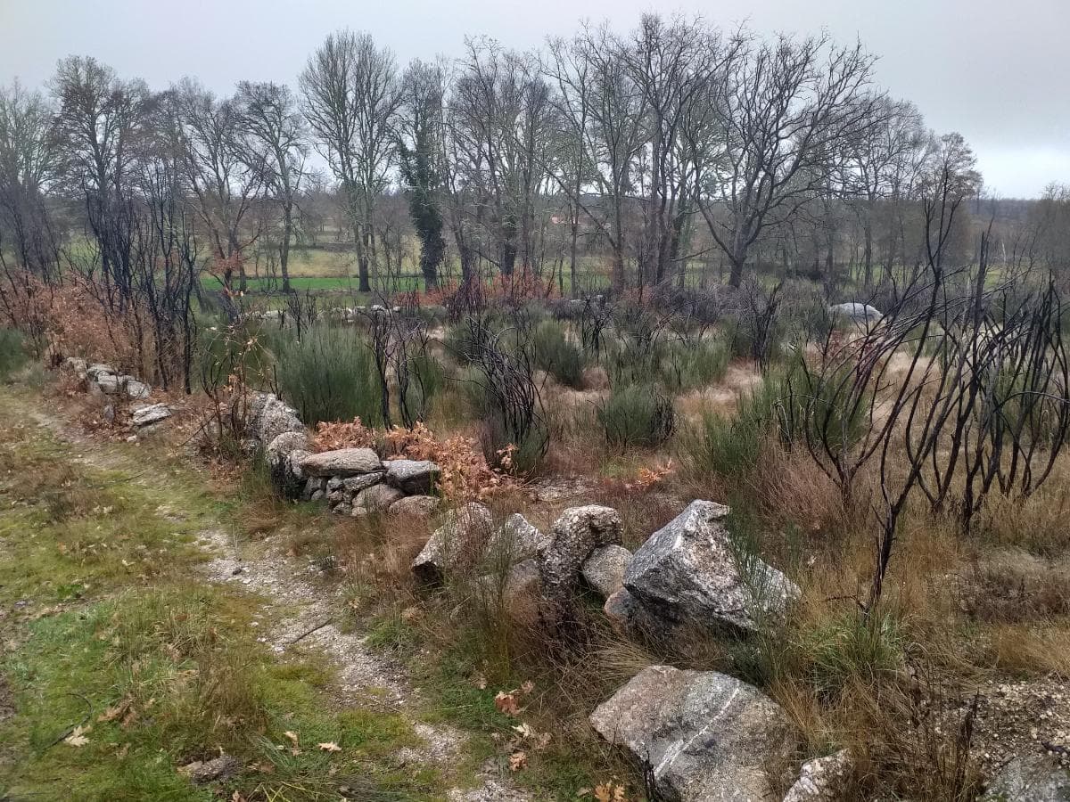 Terreno · Guarda