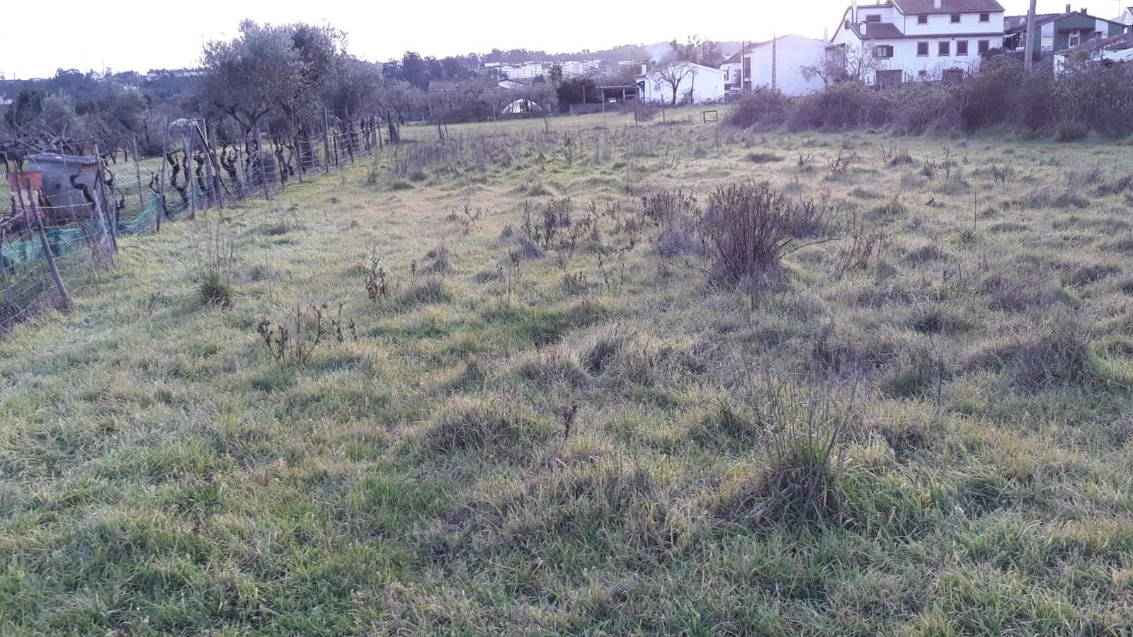 Moradia V4 + Terreno · Vila Nova de Poiares — image 13