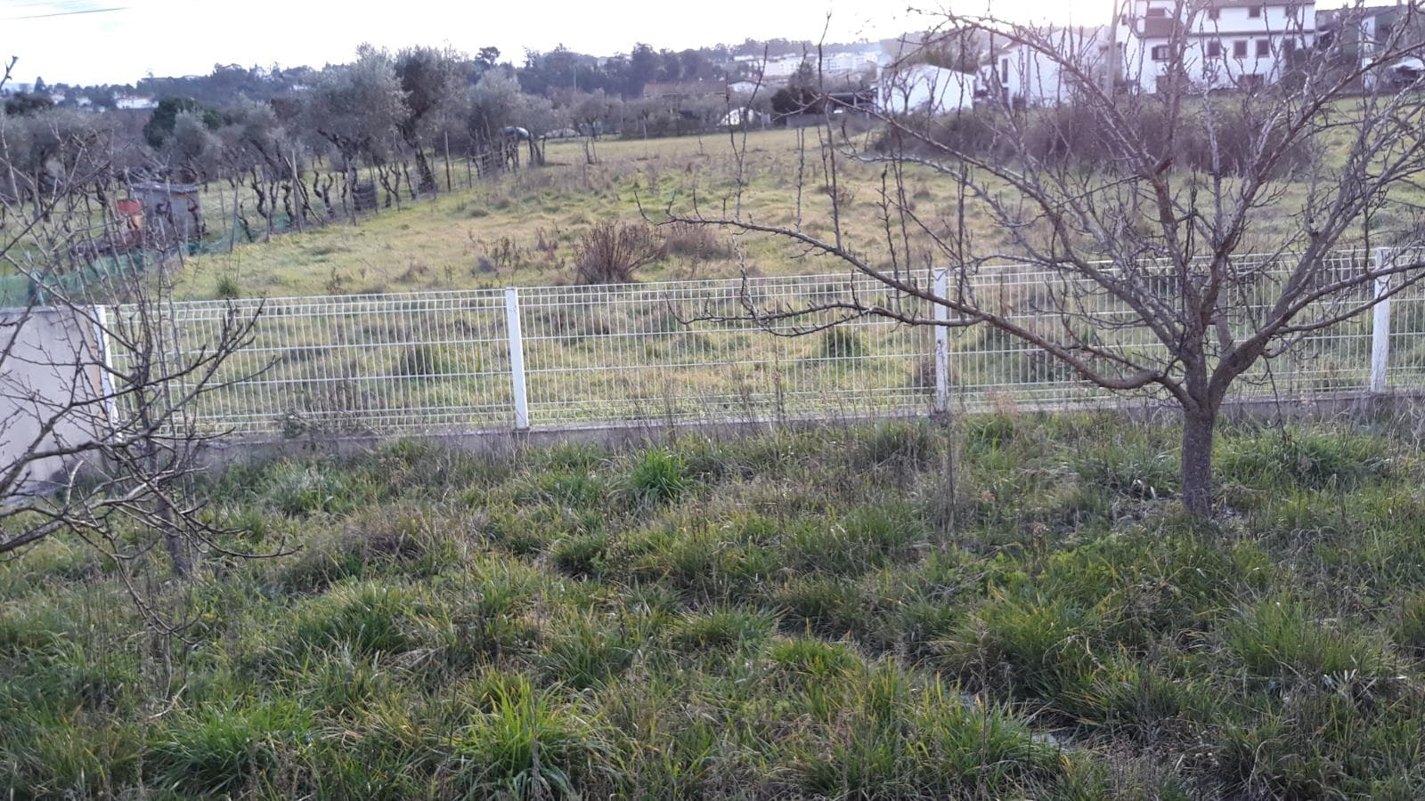 Moradia V4 + Terreno · Vila Nova de Poiares — image 15