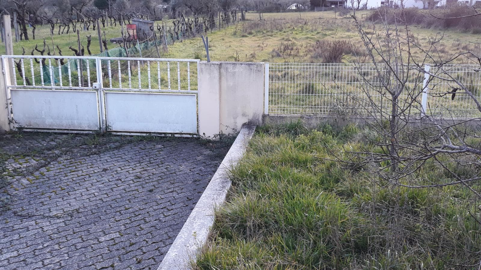Moradia V4 + Terreno · Vila Nova de Poiares — image 14