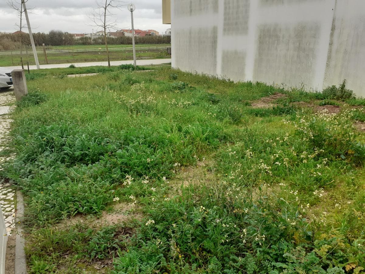 1/2 de Lote para Construção · Barreiro — image 2
